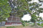 cm-秋葉神社-06