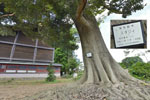 cm-秋葉神社-07