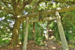 cm-秋葉神社-10