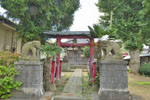 杉戸稲荷神社のカヤ-02