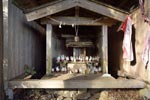 越沢稲荷の大スギ-09