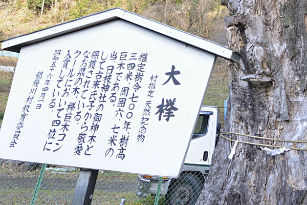 cm-大附日枝神社-01
