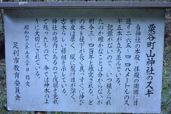 cm-粟谷町山神社-01