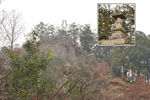 cm-粟野城址 (あわの城山公園)-06