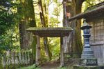 加蘇山神社のスギBC-03