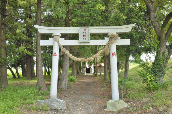 cm-砂ケ原大杉神社-01