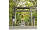 cm-那須温泉神社-06