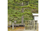 cm-那須温泉神社-07