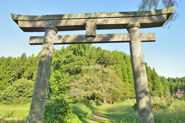 cm-温泉神社 (上ノ宮)-01