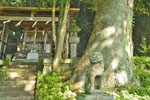 cm-温泉神社 (上ノ宮)-03