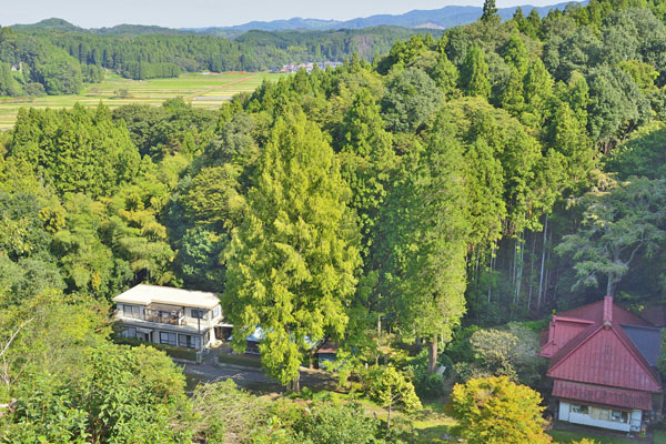 cm-揚源寺-02