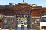 須賀神社のケヤキ-10