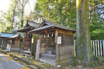 須賀神社のケヤキ-12