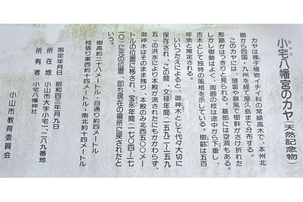 cm-小宅八幡宮-02