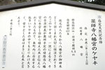 薬師寺八幡宮のケヤキ-09