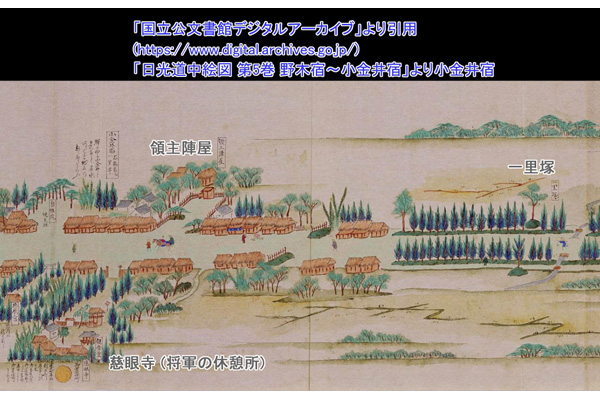cm-日光道中絵図の小金井宿-03