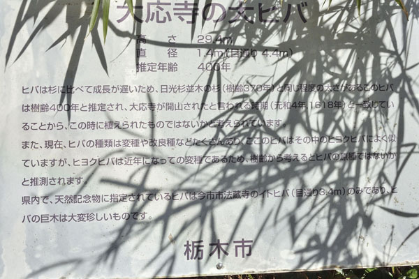 cm-大応寺-02