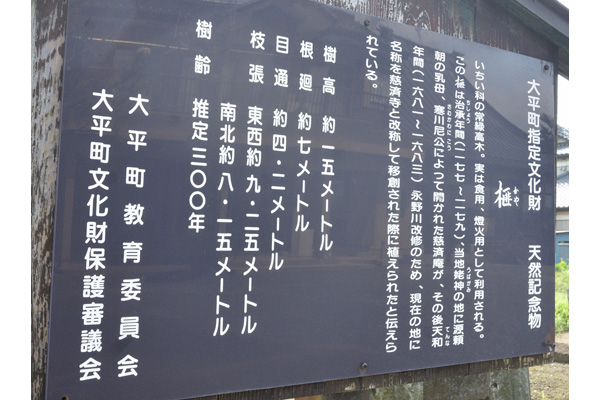 cm-慈済寺-01