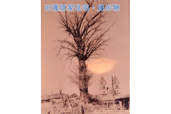 cm-宇都宮空襲-02