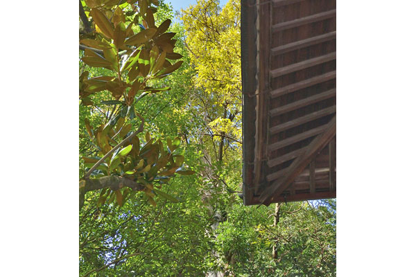 cm-光琳寺-02