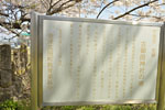 古御田神社の種蒔桜-04
