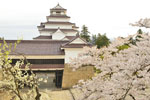 cm-鶴ヶ城の桜-05