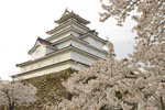 cm-鶴ヶ城の桜-07