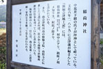 中荒井稲荷神社のモミ-13