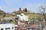 二ツ石稲荷神社の桜-08