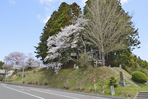 cm-八龍神社-01