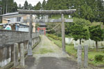 鹿島神社のモチノキ-08