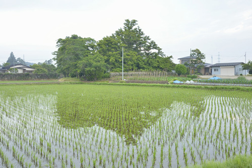 長久寺のまるみがや01