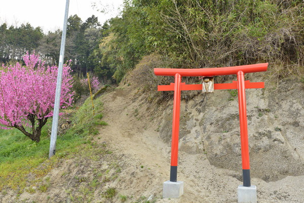 猫稲荷神社-見出_01