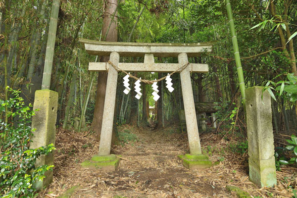 多藤神社木像_01